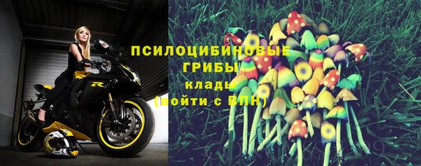 Альфа ПВП Алексин