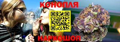 индика Рыбинск
