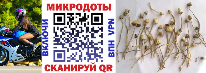 Галлюциногенные грибы Cubensis  MEGA ONION  Петрозаводск  даркнет сайт 