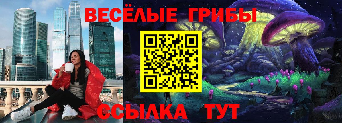 Петрозаводск  Галлюциногенные грибы Psilocybe  Вход с VPN 