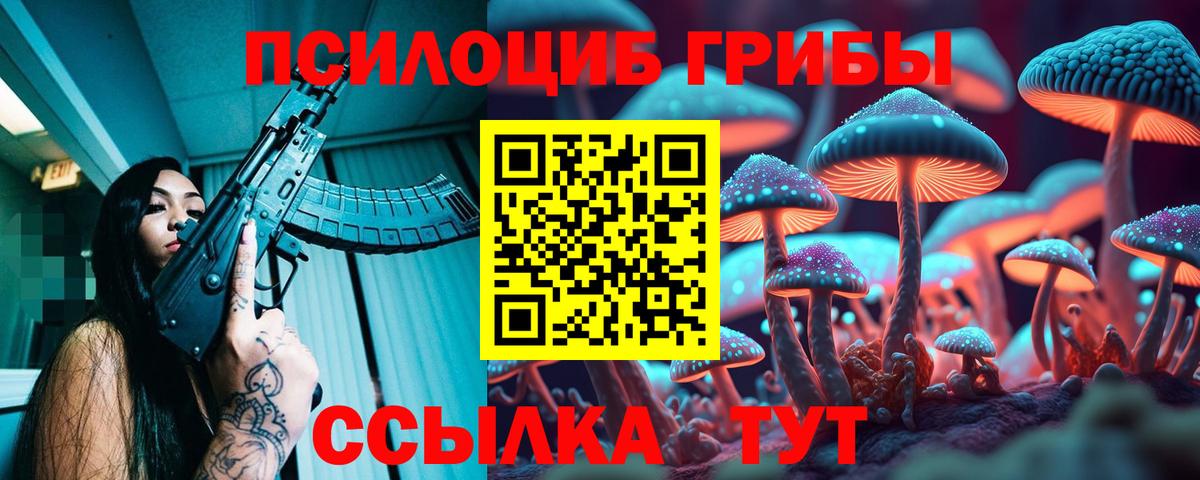 Псилоцибиновые грибы мицелий Петрозаводск