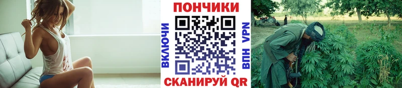 Конопля MAZAR  Петрозаводск 